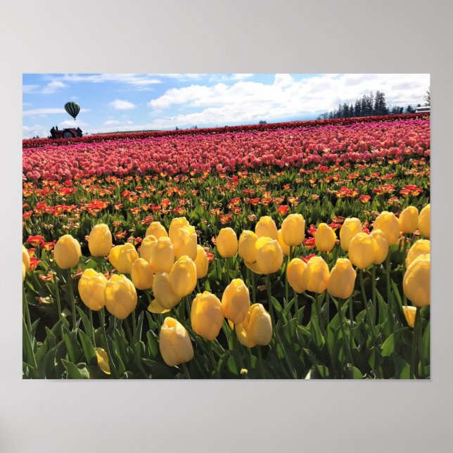 Poster Beautiful Tulip Field avec Hot Air Balloon, Oregon (Devant)