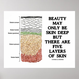 Poster Beauty May Be Skin Deep But Five Layers Of Skin