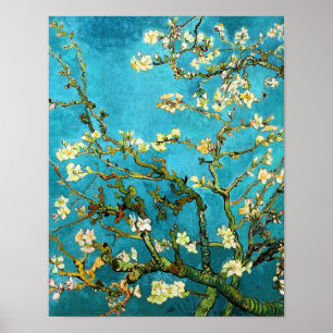 Poster Beaux-arts se développants d'arbre d'amande de Van