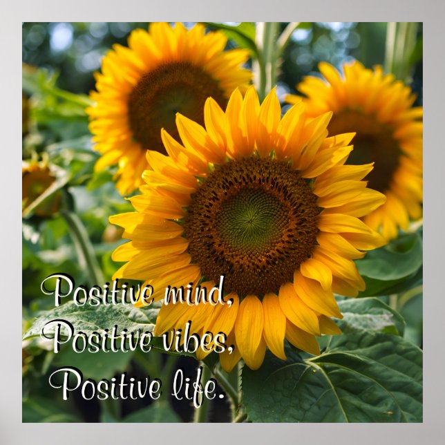 Poster Beaux tournesols sous le soleil Personnalisé (Devant)