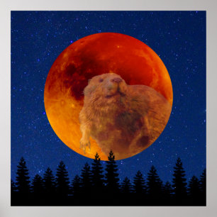 Poster Beaver Moon en novembre