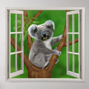 Poster Bébé bleu Koala Ours faux fenêtre