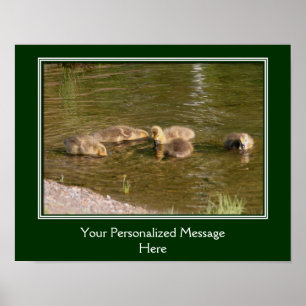 Poster Bébé Canada Goélands d'oies Créez votre propre