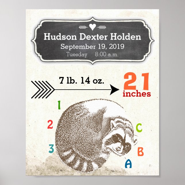 Poster Bébé Garçon natalité Statistiques mignonne Raccoon (Devant)