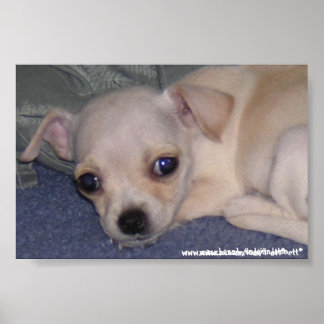 Poster Bébé Impression.