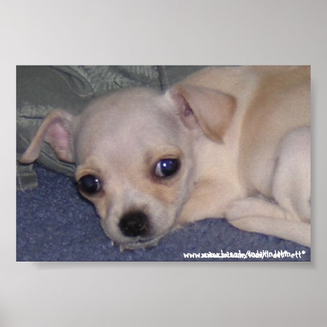 Poster Bébé Impression. (Devant)