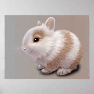 Poster Bébé Lapin