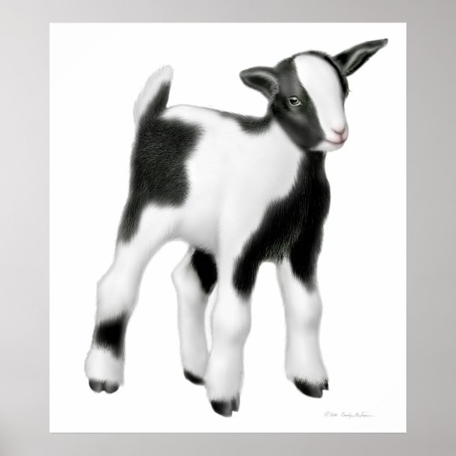 Poster Bébé mignonne chèvre imprimer (Devant)