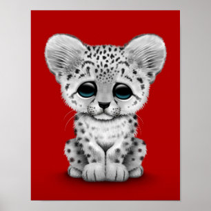 Poster Bébé mignonne Léopard de neige sur rouge