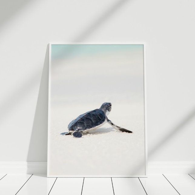 Poster Bébé mignonne tortue de mer sur la plage (Cute Baby Sea Turtle on the Beach Poster in white frame on white floor.)