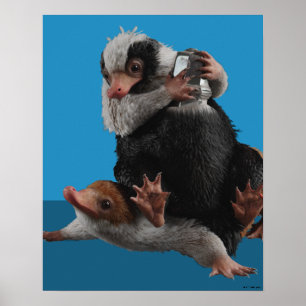 Poster Bébé Nifflers Trouve Un Prix