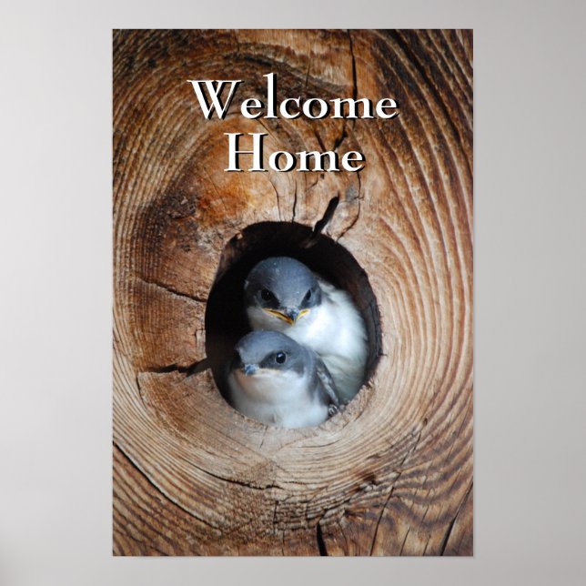 Poster Bébé Oiseaux (Devant)