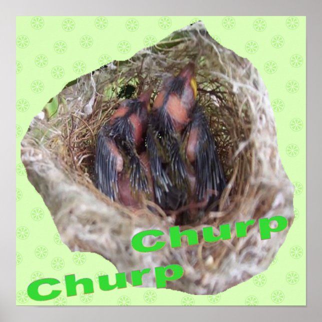 Poster Bébé Oiseaux (Devant)