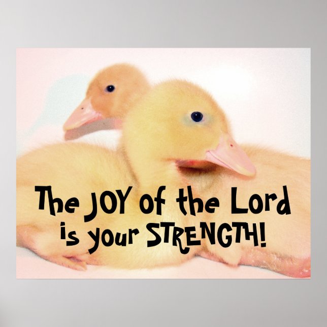 Poster Bébé Pekin Canard Canard Canard Oiseau Animal Anim (Devant)