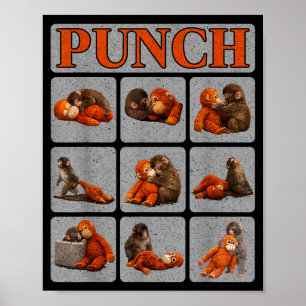 Poster Bébé singe mignon nommé punch shirt punch monkeyCu