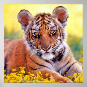 Poster Bébé Tigre