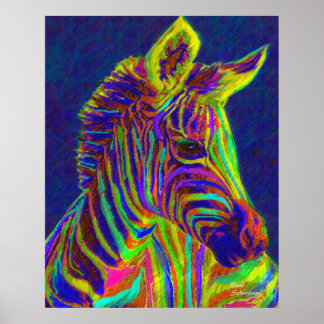Poster bébé zèbre aux couleurs de crayon