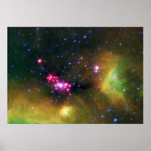 Poster Bébés stellaires