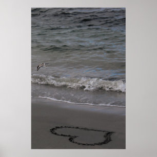 Poster Bécasseau dans l'amour