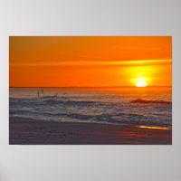Bécasses volantes au lever du soleil, plage de Flo