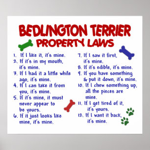 POSTER BEDDLINGTON TERRIER PL2