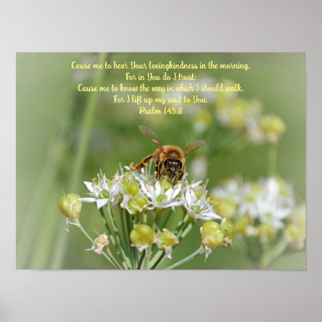 Poster Bee du matin sur Blossoms Bible Verse Art (Devant)