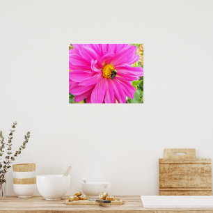 Poster Bee on Pink Dahlia Floral