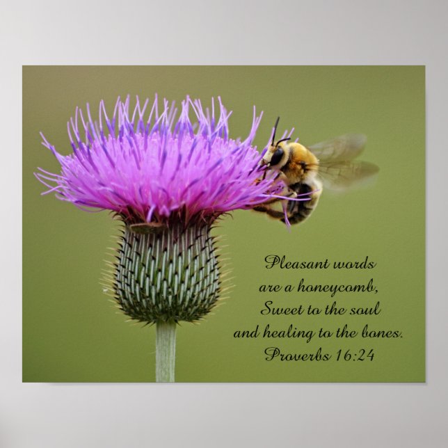 Poster Bee on Thistle Scripture Photographie Art Imprimer (Devant)