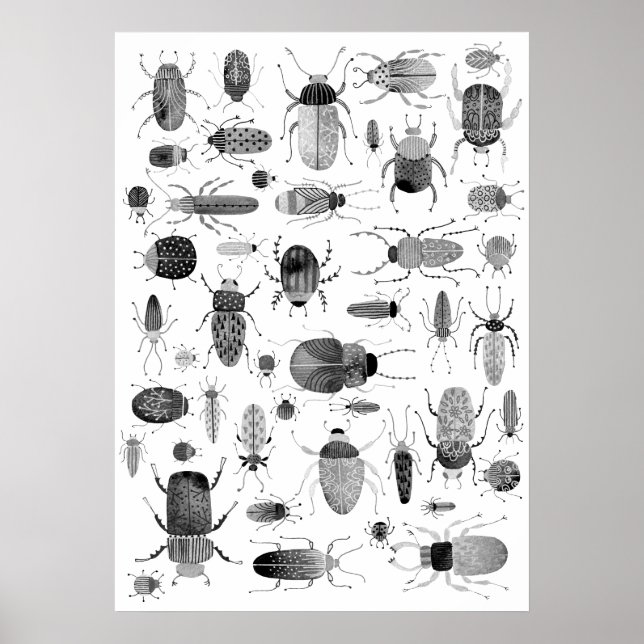 Poster Beetle noir et blanc (Devant)
