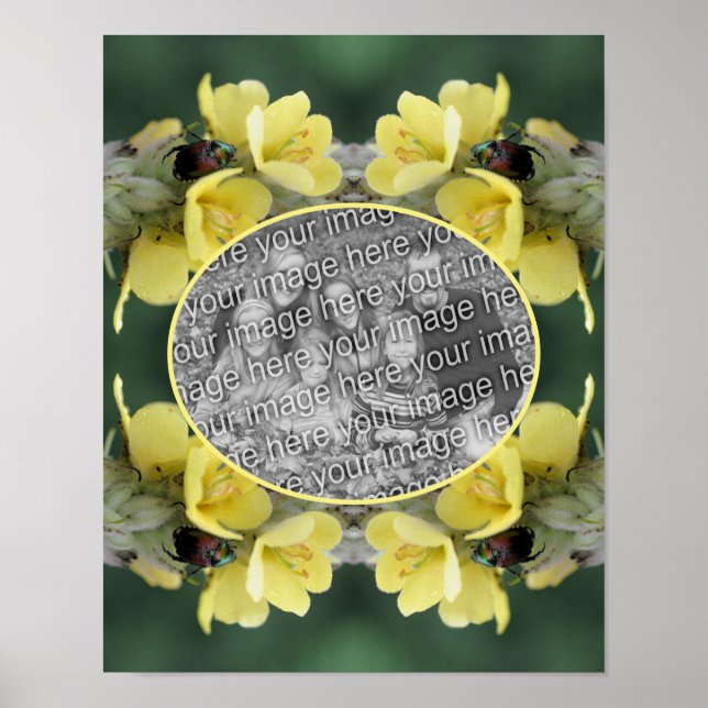 Poster Beetle sur Wild Mullein Flower Ajoutez votre photo (Devant)