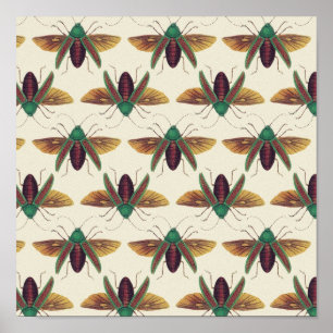 Poster Beetles