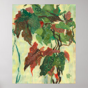 Poster Begonia Maculata Home Garden Plant Floral Painting