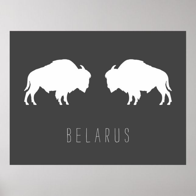 Poster Belarus Belarusian Bison Зубр Беларусь Travel (Devant)