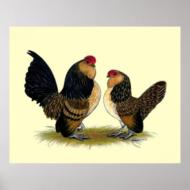 Poster Belge d'Anvers Bantams : Quail (Devant)