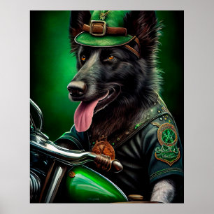 Poster Belgian Shepherd conduite vélo St. Patrick's Day