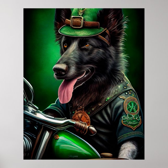 Poster Belgian Shepherd conduite vélo St. Patrick's Day (Devant)