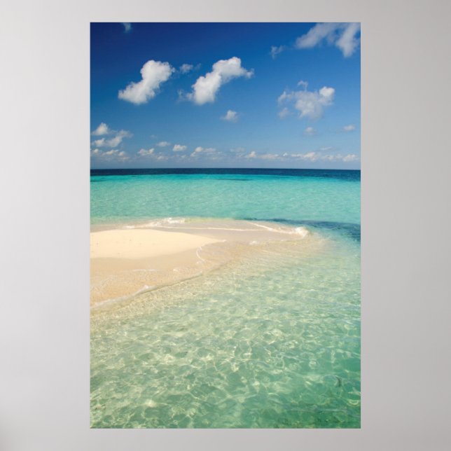 Poster Belize, mer des Caraïbes. Goff Caye, Une Petite Îl (Devant)
