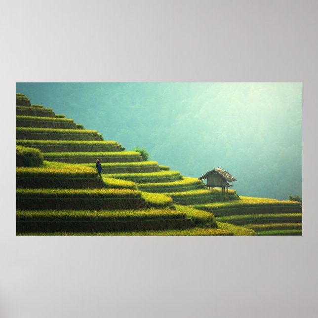 Poster Belle Asie (Devant)