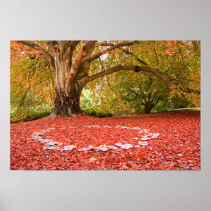 Poster Belle Automne Automne Nature Fée Bague