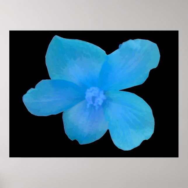 Poster Belle Bleue Bégonia (Devant)