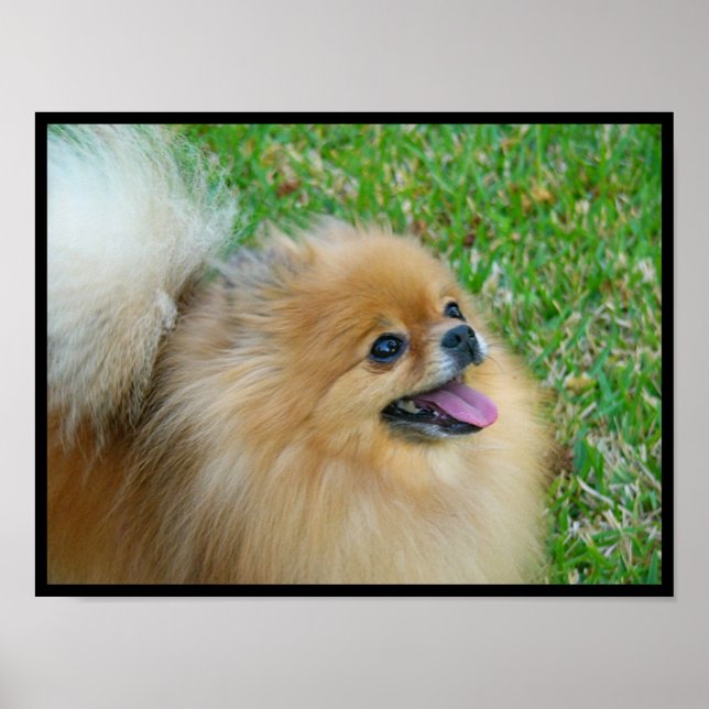 Poster Belle blonde (Devant)