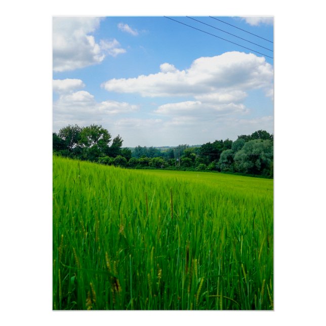 Poster Belle campagne (Devant)
