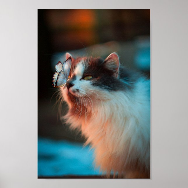 Poster Belle Chat Avec Un Papillon Sur Le Nez (Devant)