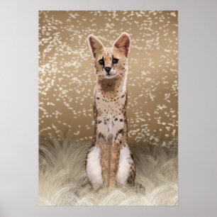 Poster Belle Chat Serval Africain Sauvage