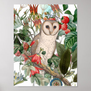 Poster Belle Chouette effraie et florales vintage