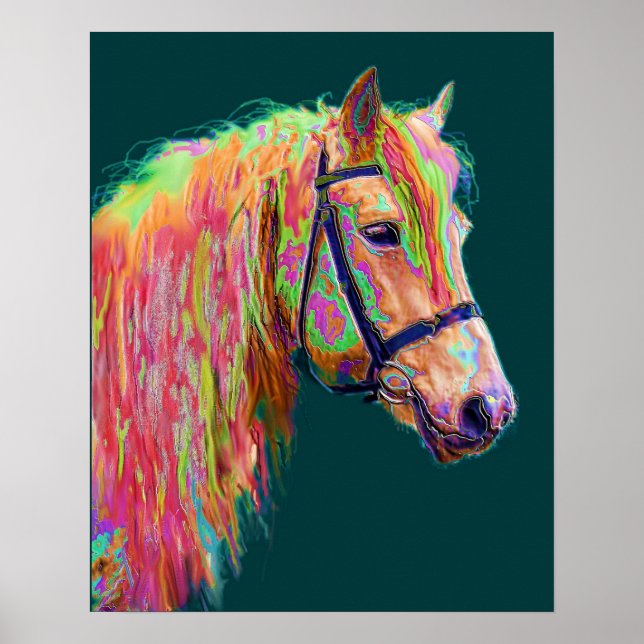 Poster Belle couleur du Rainbow Highland Pony (Devant)