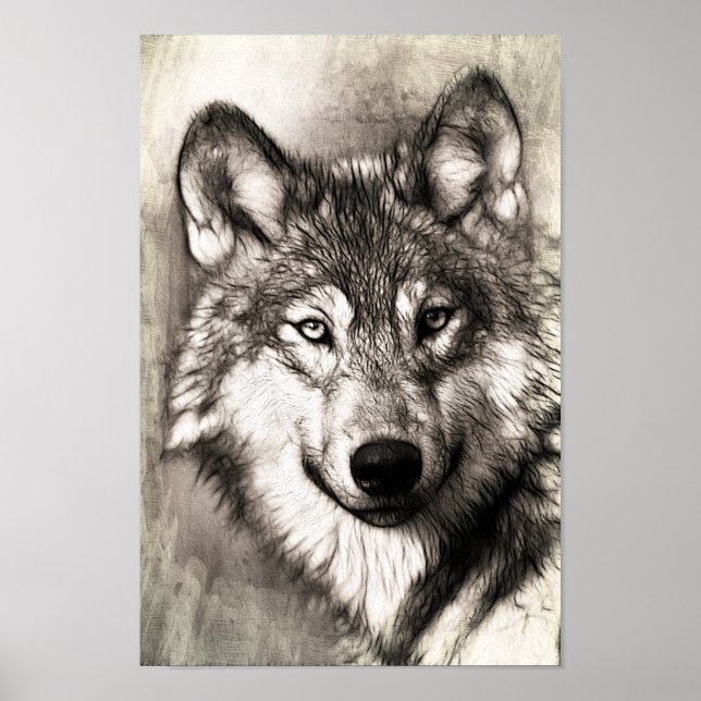 Poster Belle croquis de l'affiche du visage du loup (Devant)