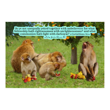 Belle Écriture de singe 2 Corinthiens 6:14