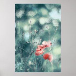 Poster Belle Elégante Abstraite Dreamy Poppies Fleurs