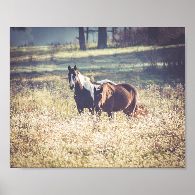 Poster Belle ferme de chevaux Animaux (Devant)